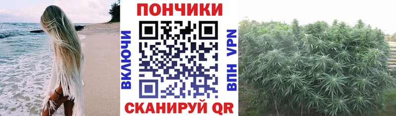 Канабис планчик  Спасск-Рязанский 